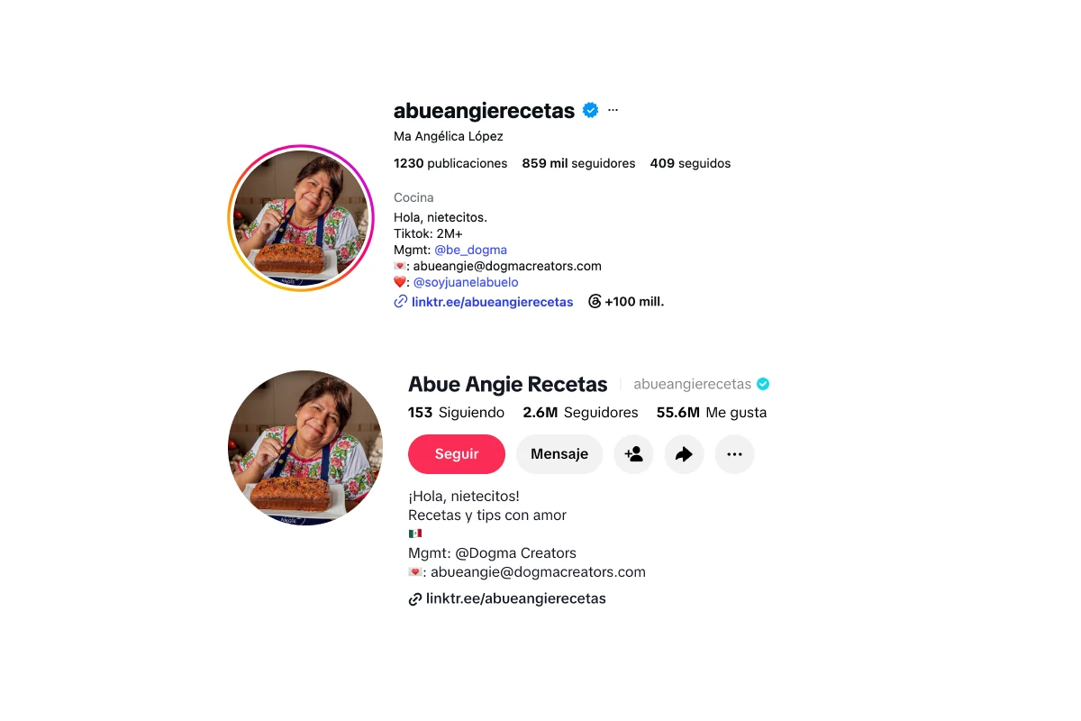 Cuentas en redes sociales de una creadora de contenido
