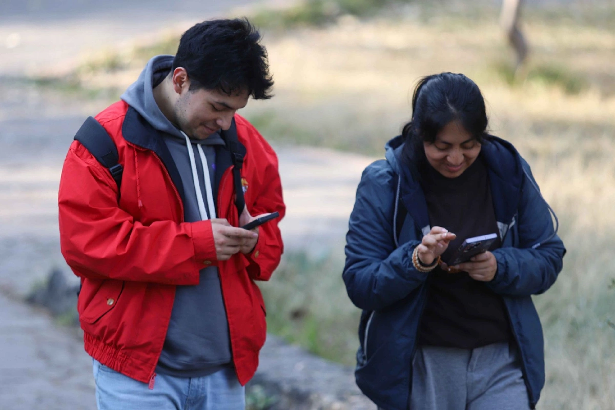 registro línea telefónica méxico fechas límite
