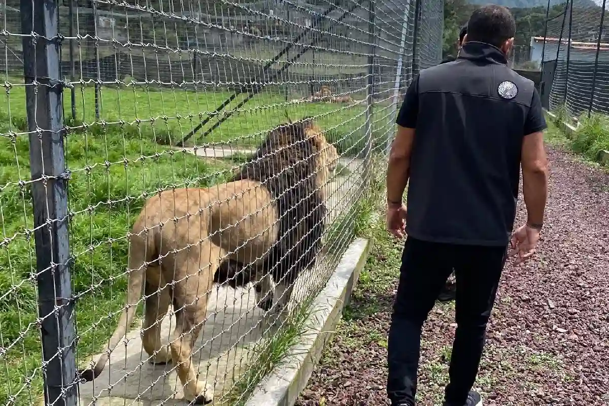 Santuario Jaguar Negro Tigre Blanco no tiene registro vigente, aclara Semarnat