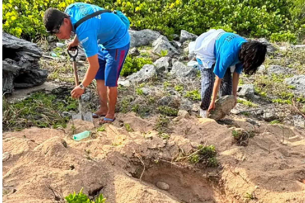 El grupo de vigilancia alertó de las dificultades que atraviesan las tortugas en la zona.