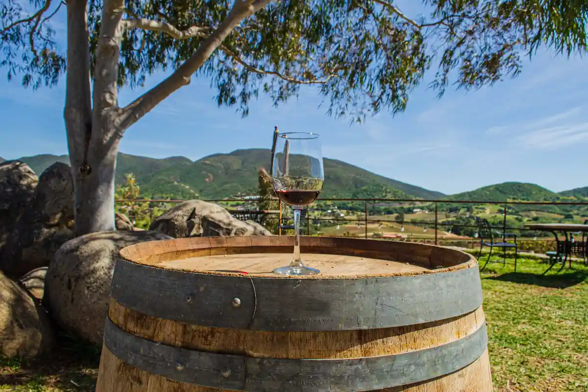Ruta del vino y vendimia en Valle de Guadalupe: qué hacer, dónde quedarte y qué comer