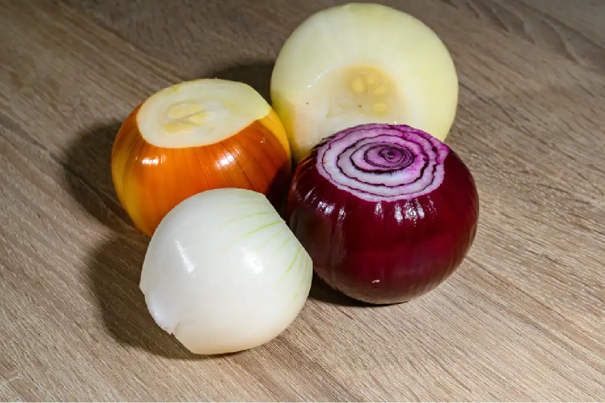 variedades de cebollas