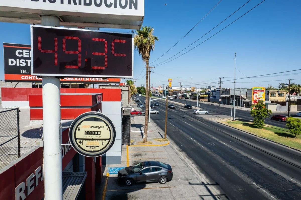 Temperaturas extremas, como en Mexicali cercanas a los 50 grados, permiten la propagación de las plagas y enfermedades. Foto: Cuartoscuro.