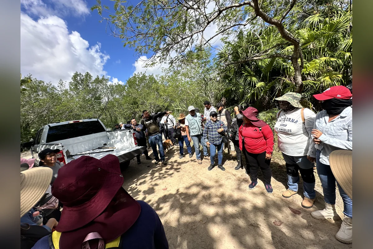 Desde 2019, los casos de desaparición en Quintana Roo se incrementaron, siendo el año 2025 el que registró la mayor cantidad de casos, con 393 individuos que siguen desaparecidos.
