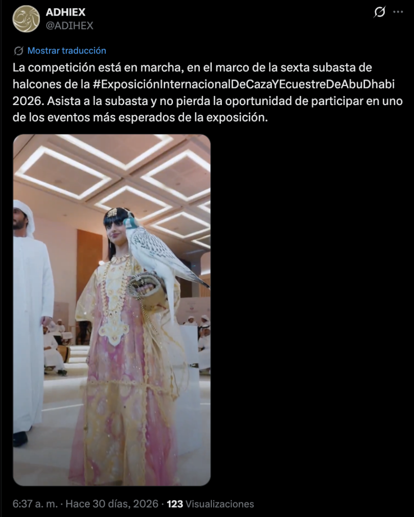 Fuente: captura de pantalla