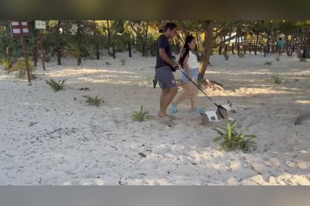 Eso sí, los dueños de las mascotas deben respetar el reglamento para el buen convivo en la Playa Coral. Foto: Joana Maldonado.