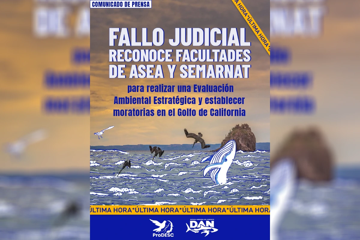 Juez resuelve que ASEA y Semarnat pueden revocar proyectos de gas licuado en el Golfo de California