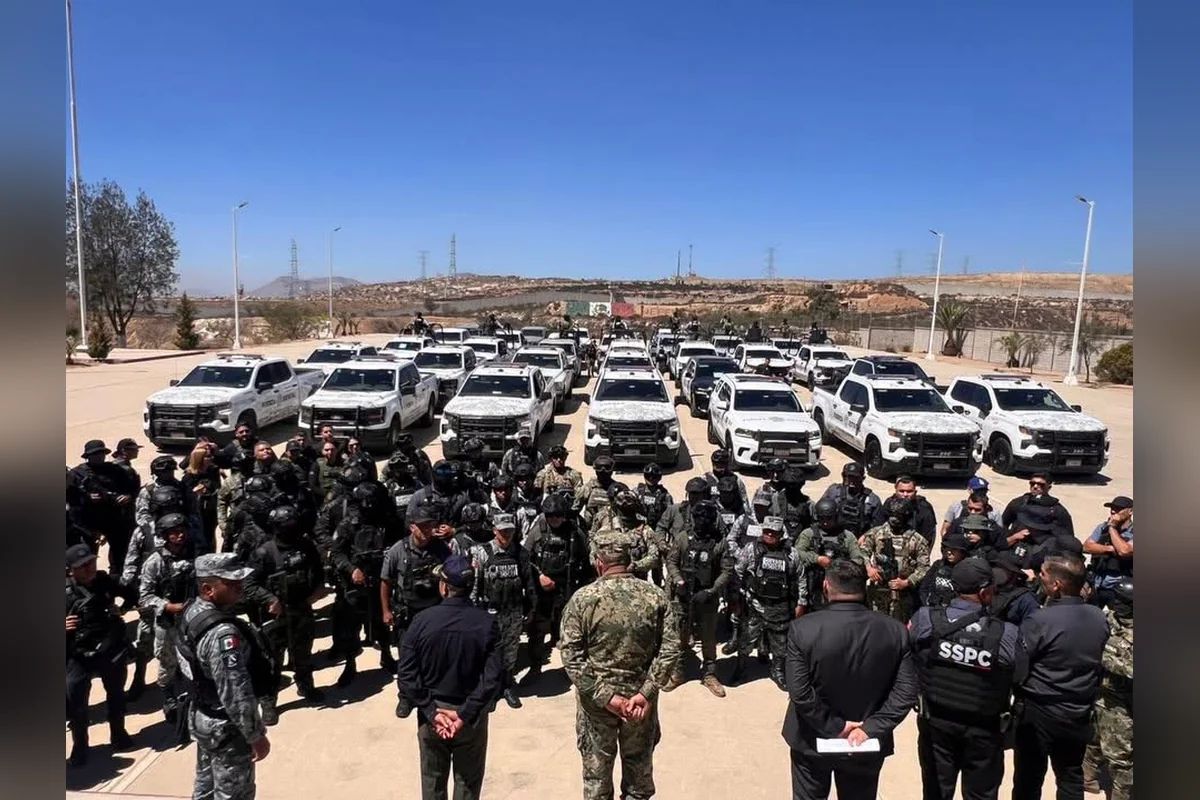 De 100 personas que piden informes, se inscriben 40 y solo 25 se gradúan, pero 10 pasan los exámenes de control y confianza. Foto: Policía BC.