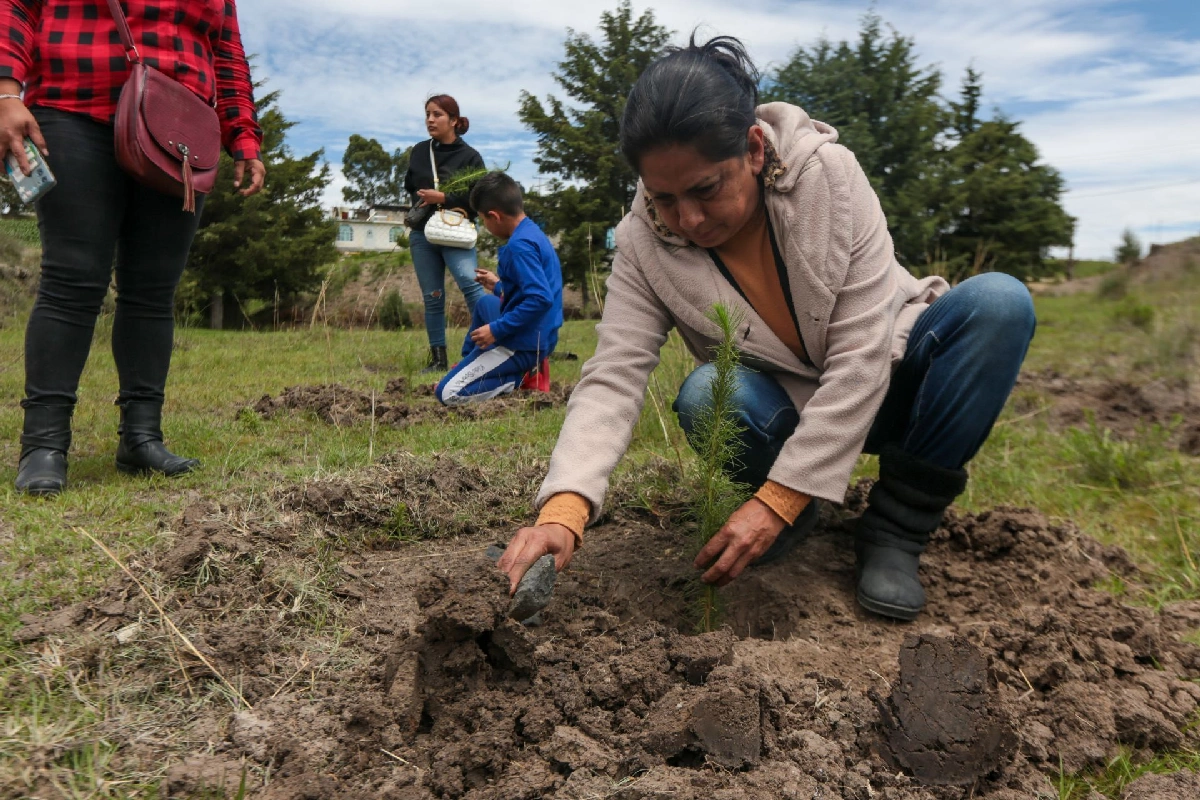 Presupuesto para medioambiente en 2027 solo será de 16.2 pesos por hectárea en México