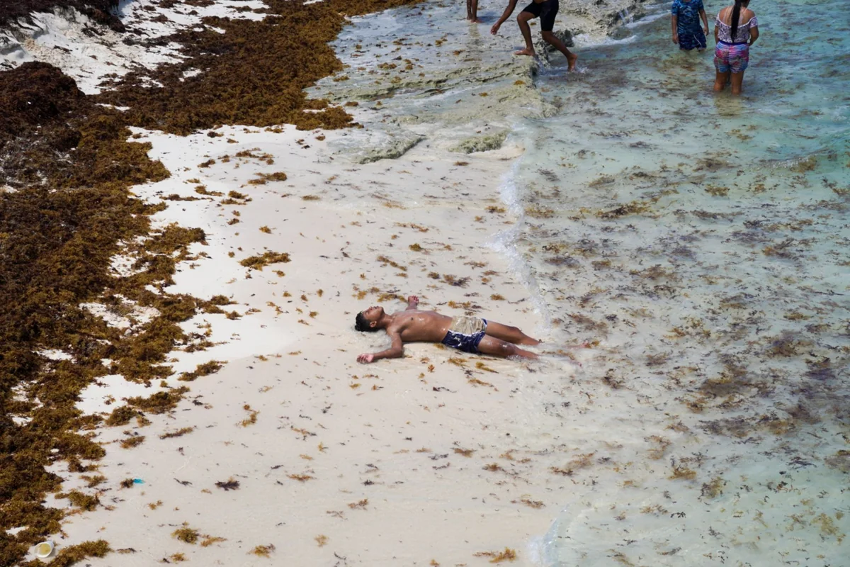 El sargazo es una de las principales causas por las cuales el turismo no eligió a Quintana Roo como su destino preferido en estos meses. Foto: Cuartooscuro.