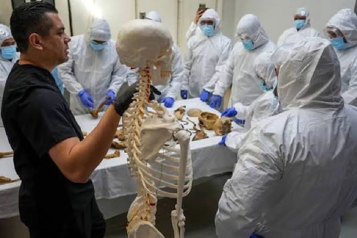 10 mil 770 cadáveres permanecían en anfiteatros al cierre de 2025; Veracruz concentró la mayor cifra