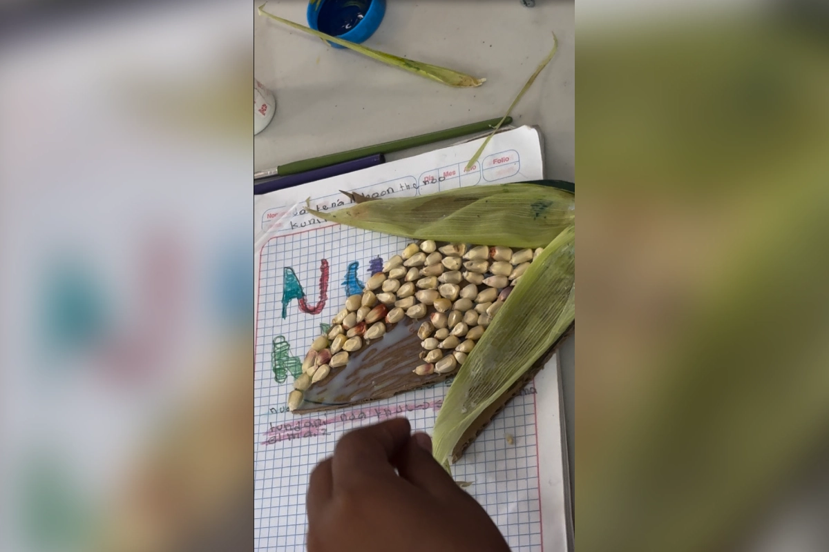 Representación del maíz y escritura en ngiwa, hecho por infancias durante las Jornadas del Semillero de Saberes en las comunidades de San Marcos Tlacoyalco y San Mateo Zoyamazalco. (Foto: Mongabay Latam | Cortesía Colectivo Jna Tsjo)