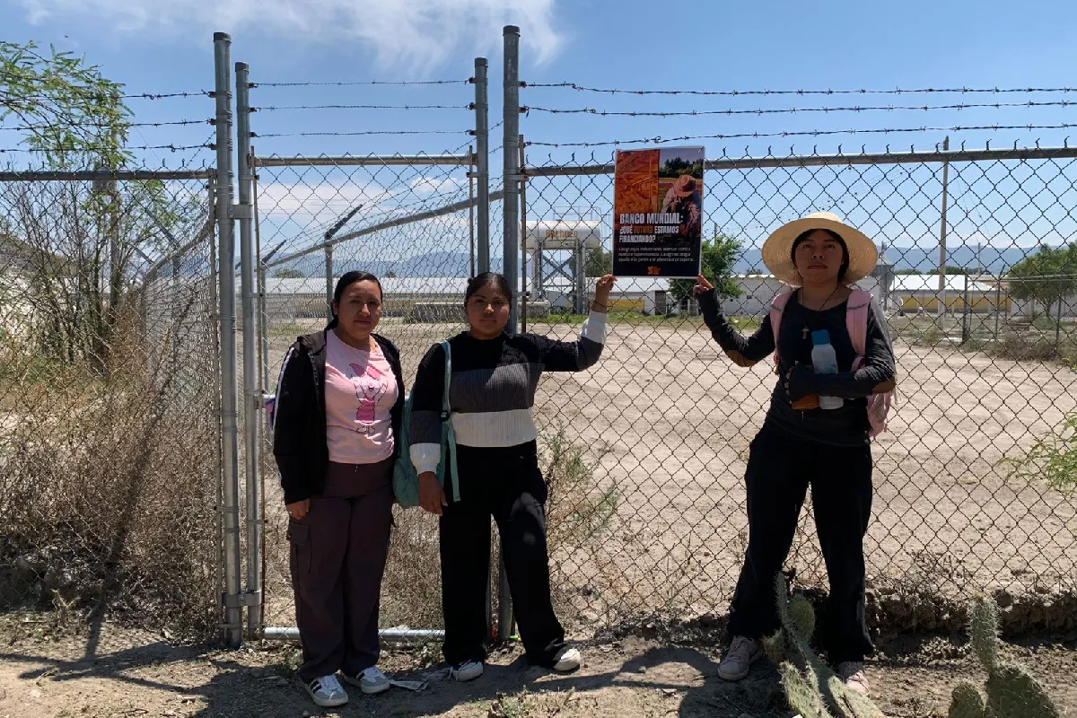 Protesta simbólica de mujeres del pueblo ngiwa frente a una planta productora de pollo en San Marcos, Puebla, durante el Día Global de Acción convocado por la Coalición Alto al Financiamiento de las Granjas Industriales. (Foto: Mongabay Latam | Cortesía Colectivo Jna Tsjo)