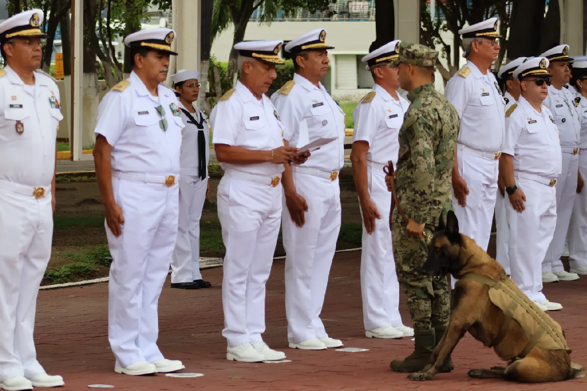 "Hermes", el perro de la Marina que detectaba explosivos, se retira: ¿puede ser adoptado?