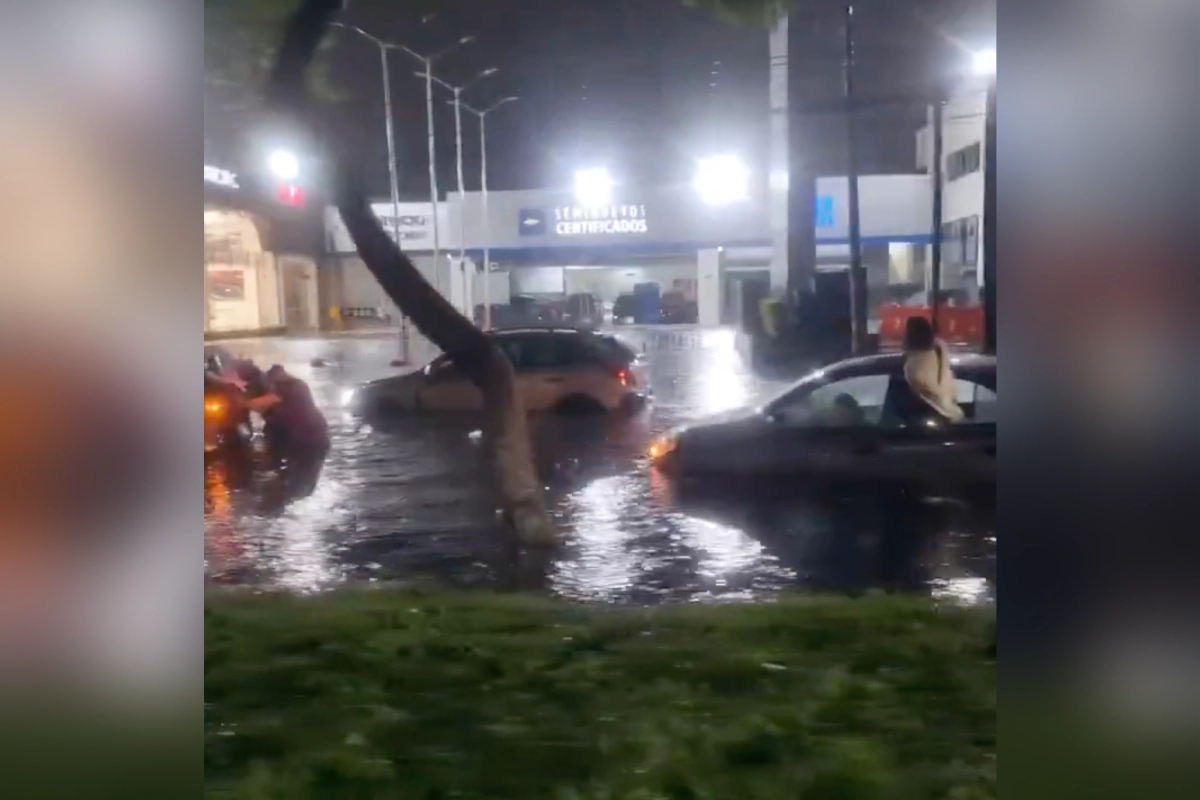 Los oficiales cargaron en brazos a la víctima para ponerla a salvo del nivel del agua.