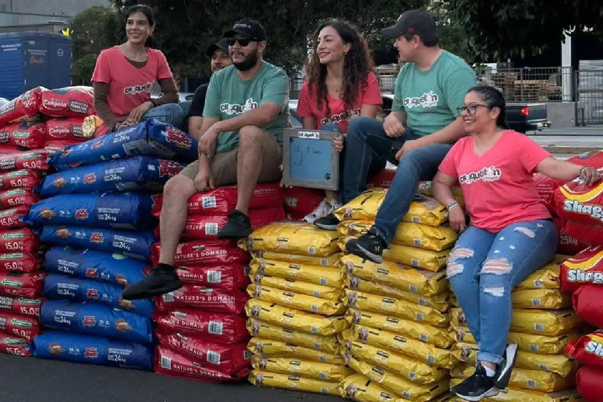 Ya en otras ocasiones la población ayudó a los rescatistas de perros en Tijuana donando croquetas y dinero. Foto: Albergue Eva La Nube Pet.
