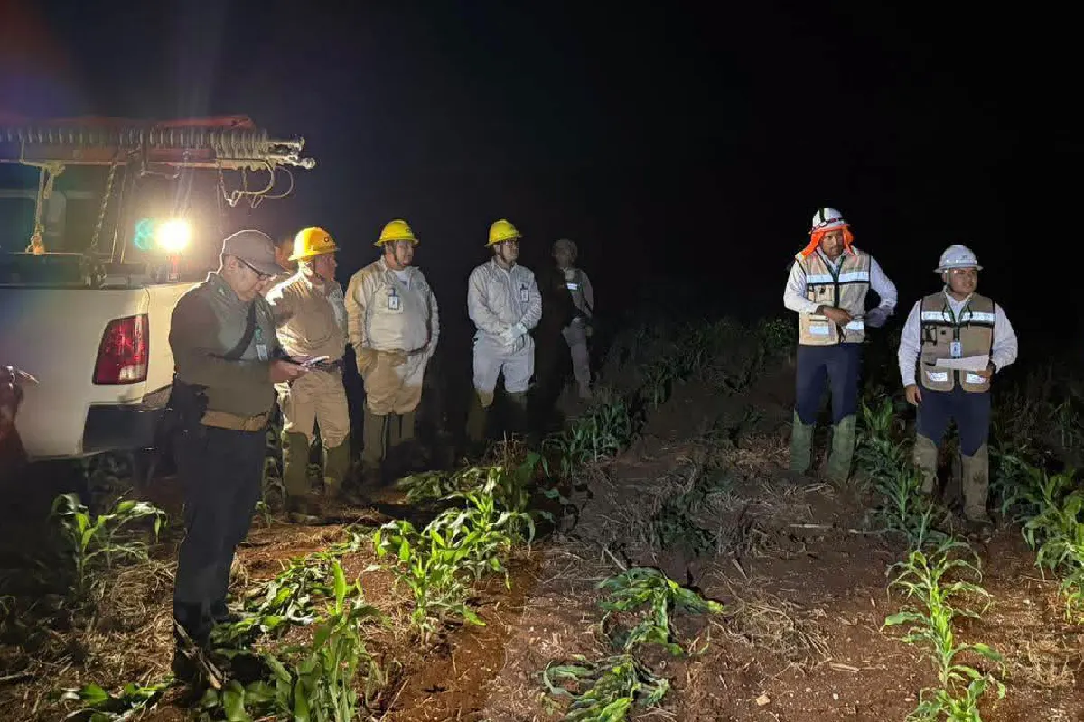 Con el apagón, cuadrillas de la Comisión Federal de Electricidad fueron enviadas a inspeccionar las torres de alta tensión. Foto: CFE.