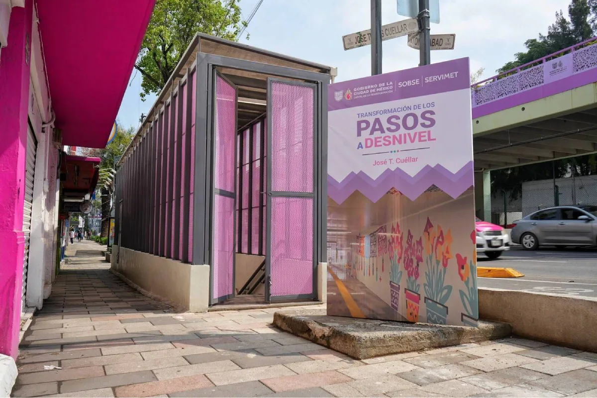 pasos a desnivel Tlalpan 2