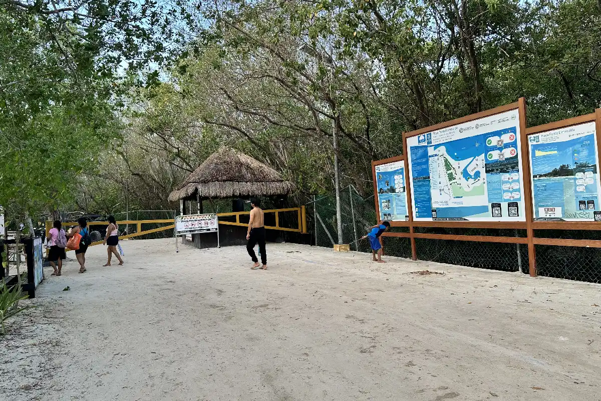 Activistas han calificado a Punta Esmeralda como una "playa de sacrificio".