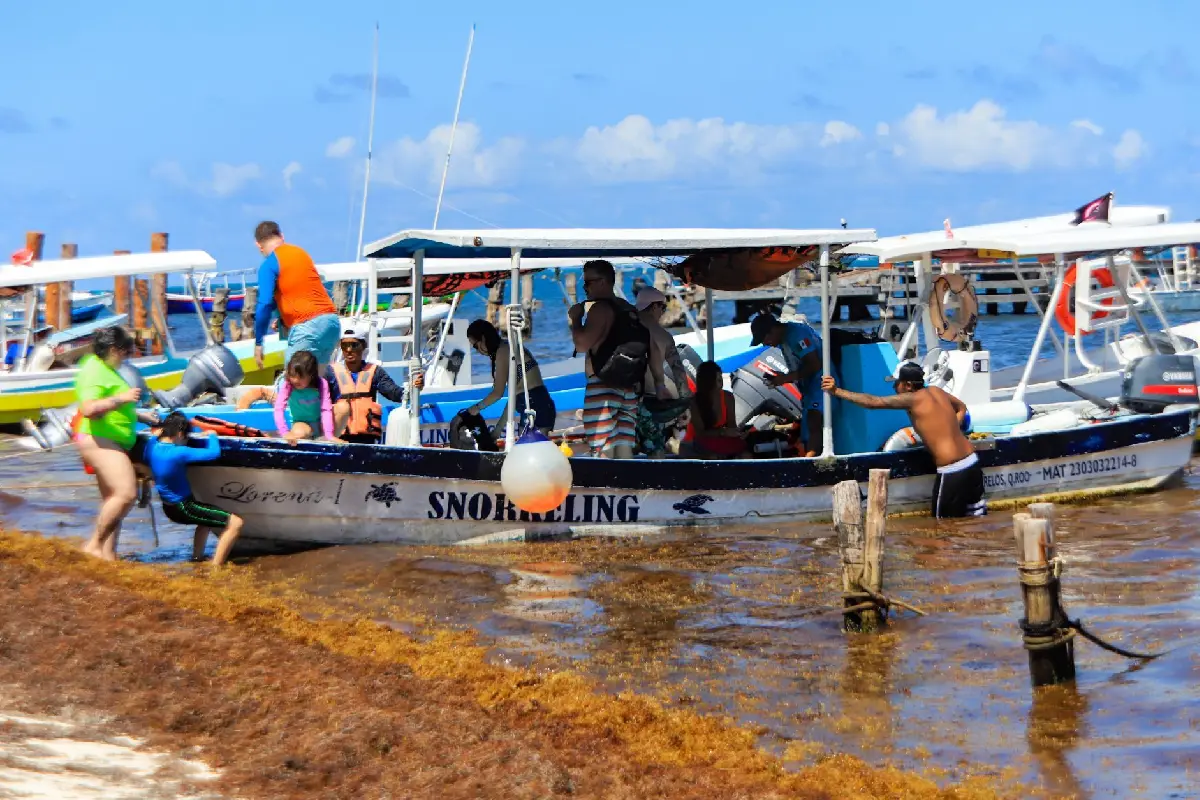 Turistas tienen que sortear los montones de sargazo que se acumulan en las playas y que este año rompió récord de llegada al Caribe Mexicano. Foto: Cuartooscuro. 